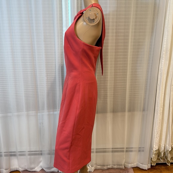 Safiyaa Carpianne Cape Dress - Picture 10 of 15